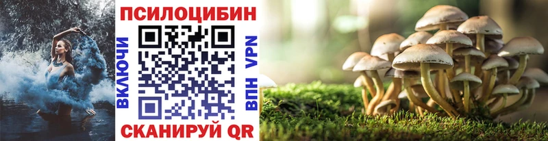 Псилоцибиновые грибы прущие грибы  ссылка на мегу как зайти  Краснокаменск 